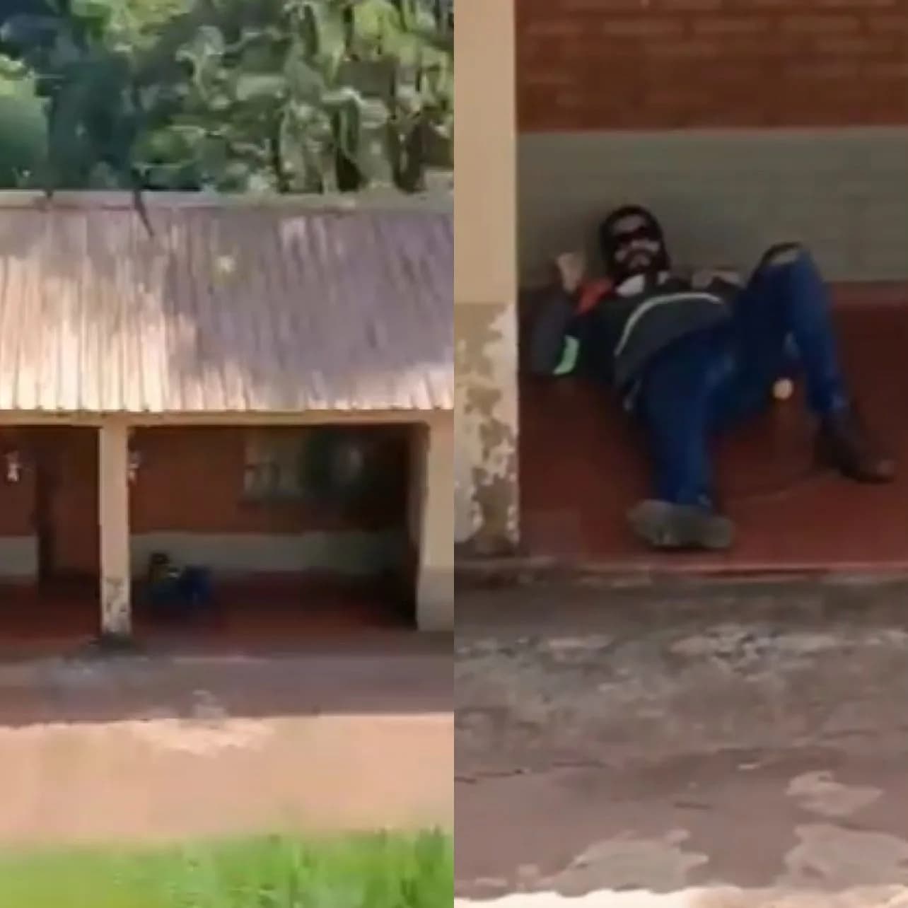 VÍDEO: Trabalhador dorme na calçada e acorda com cascavel entre as pernas