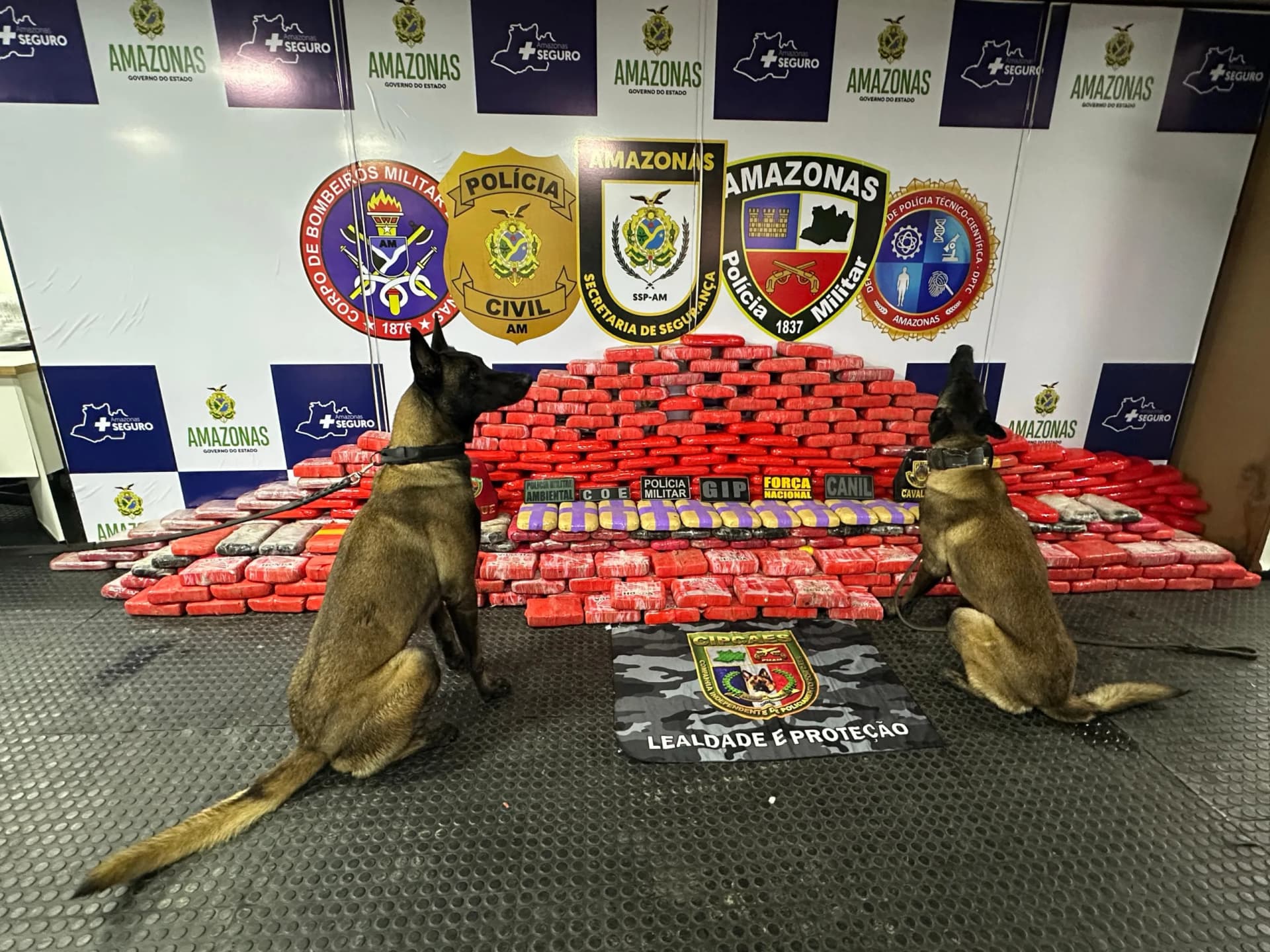 Meia tonelada de pasta base de cocaína são apreendidos em balsas petroleiras no Amazonas