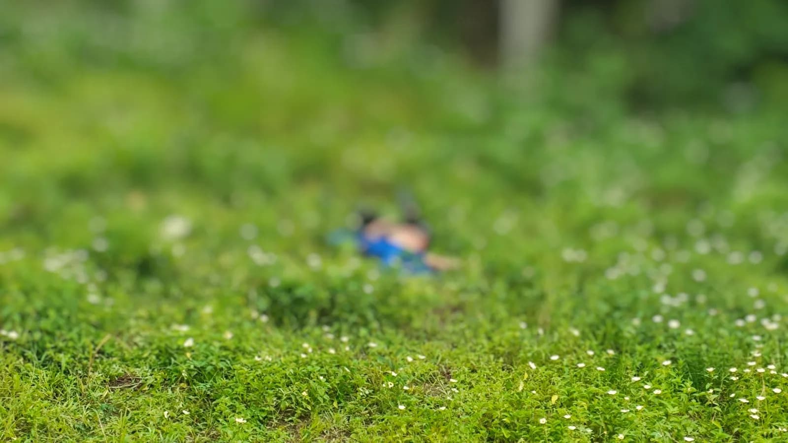 IMAGEM FORTE: jurado de morte, jovem é perseguido e morto a facadas em Manaus