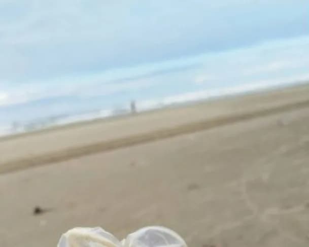 “Praia do bacanal”: moradora denuncia práticas sexuais ao ar livre no litoral de São Paulo