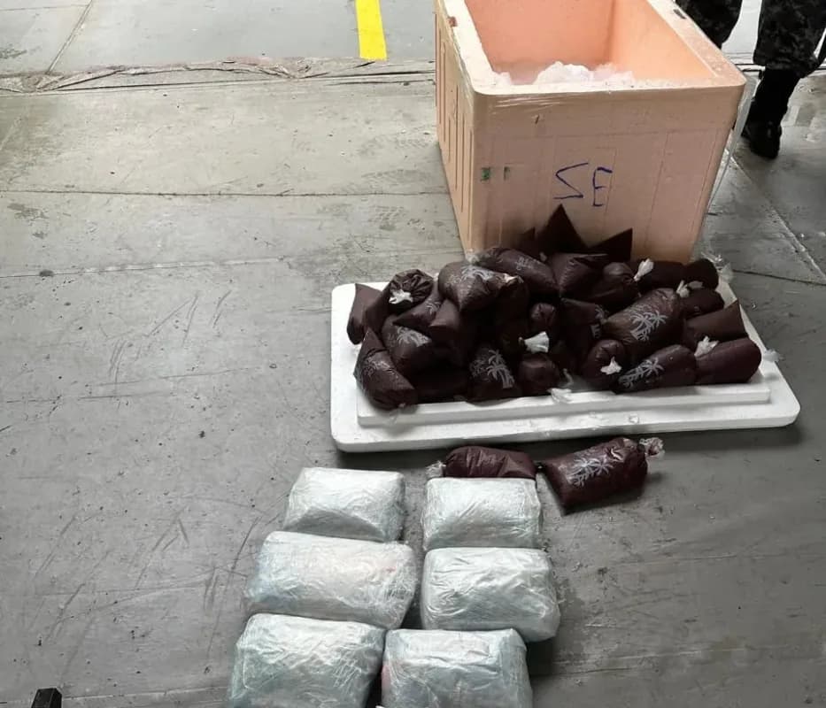 Cerca de 10 kg de drogas escondidos em caixa de isopor com açaí são apreendidos em Coari