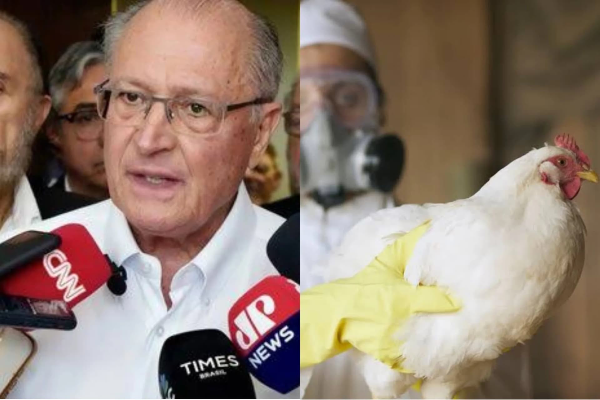 Gripe aviária no Brasil está sob controle, garante Alckmin