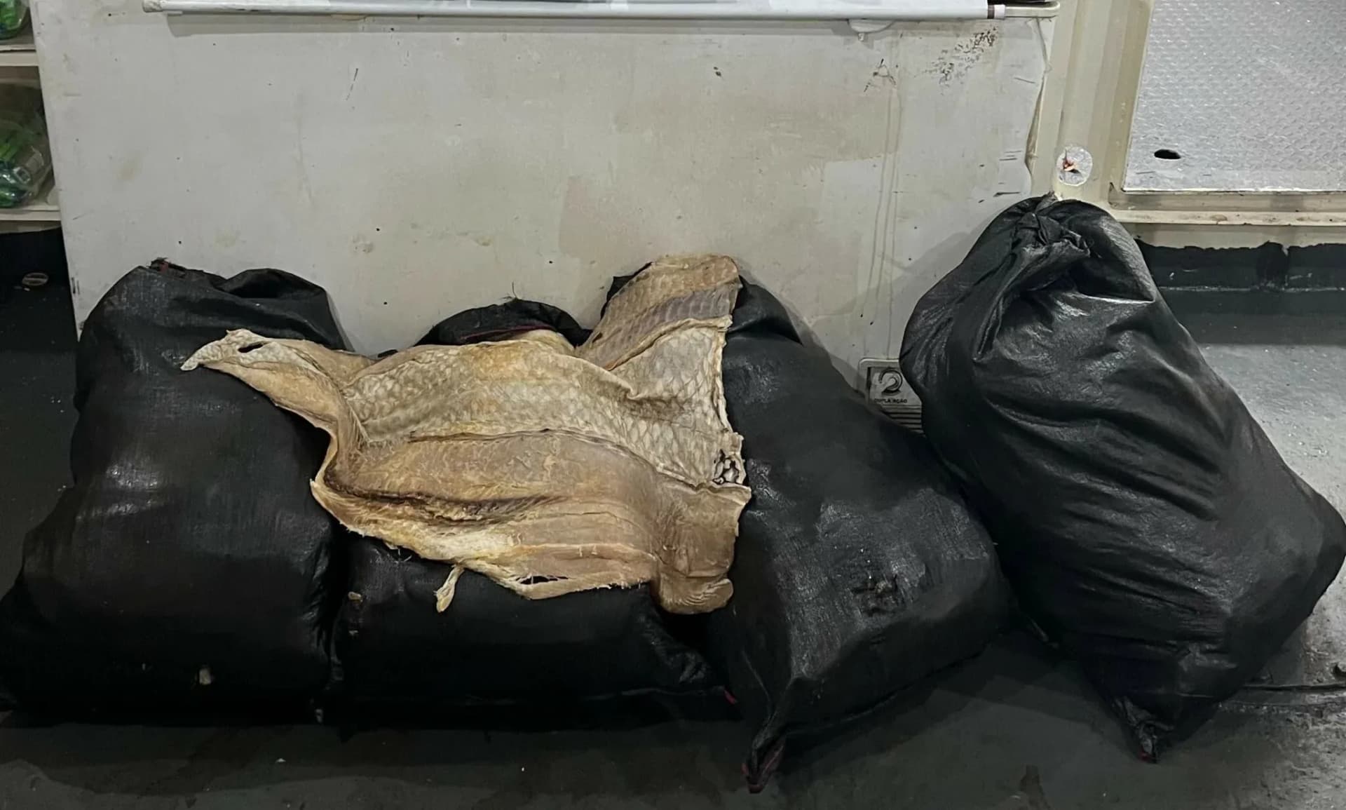 Mais de 200 kg de pirarucu seco são apreendidos em embarcação no AM