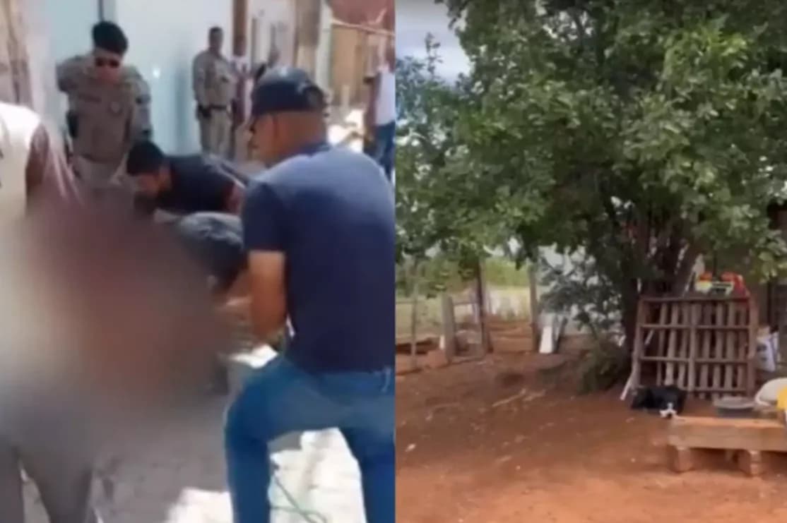 Ataques de pitbulls assustam moradores de duas cidades da Bahia