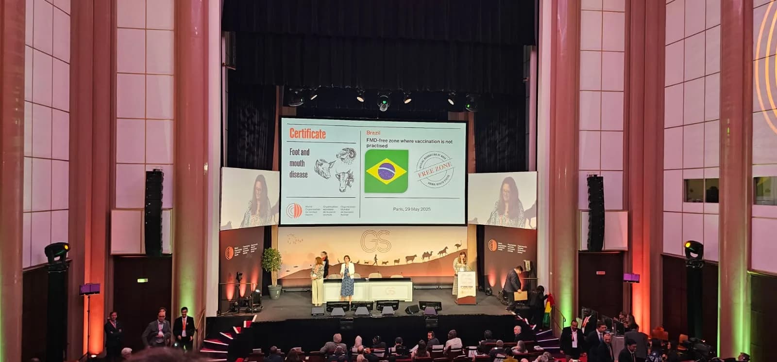 Amazonas recebe status internacional ‘livre de aftosa’ sem vacinação