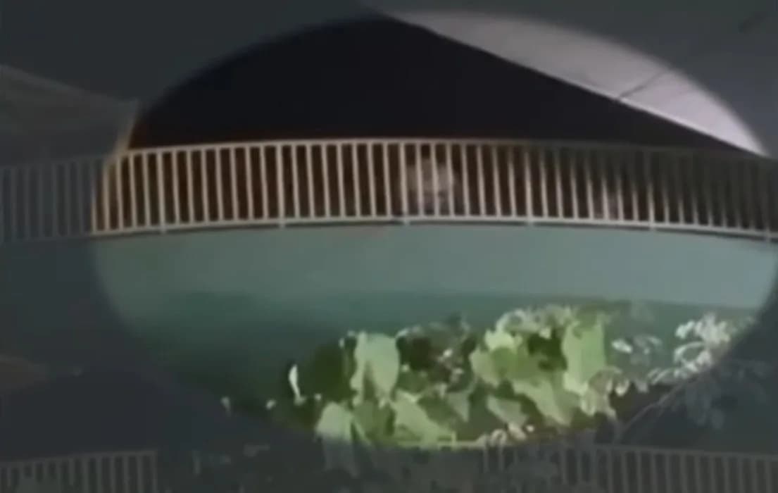 Sexo explícito: casal é flagrado em passarela de shopping e local vira ponto de encontro para ‘rapidinhas’ em Manaus