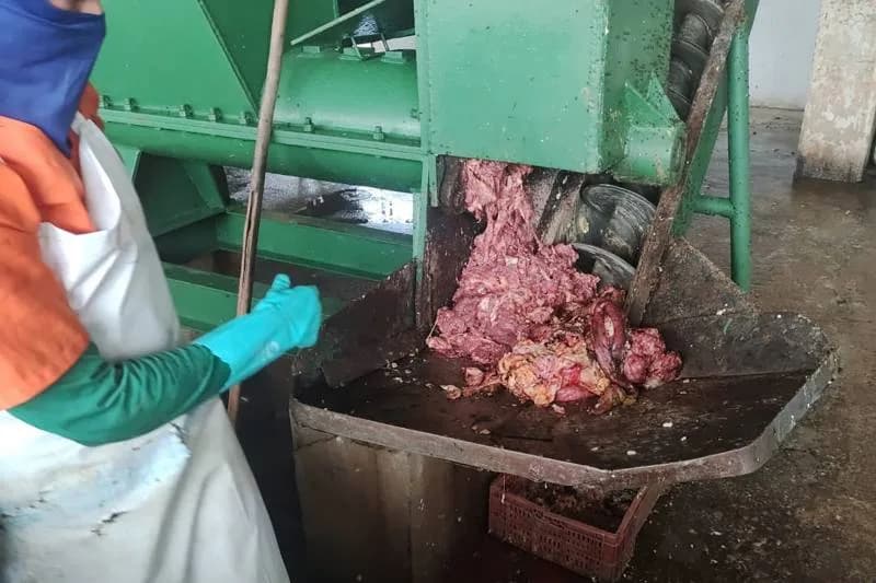 MPAM investiga suposto matadouro e frigorífico irregular em Manacapuru