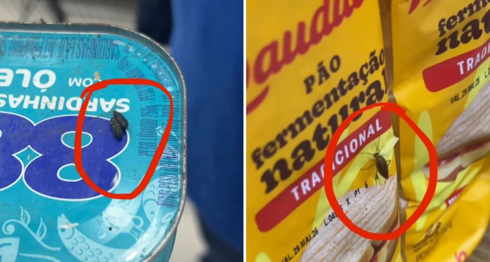 Baratas, moscas e cocô de rato: mais de 85 kg de alimentos são descartados em supermercado de Manaus