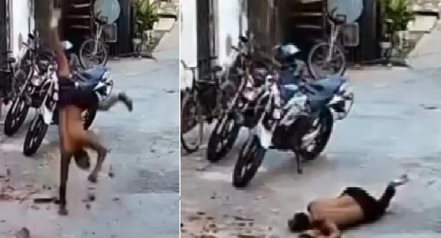 Desastroso: homem tenta fugir da polícia e cai do telhado em Fortaleza