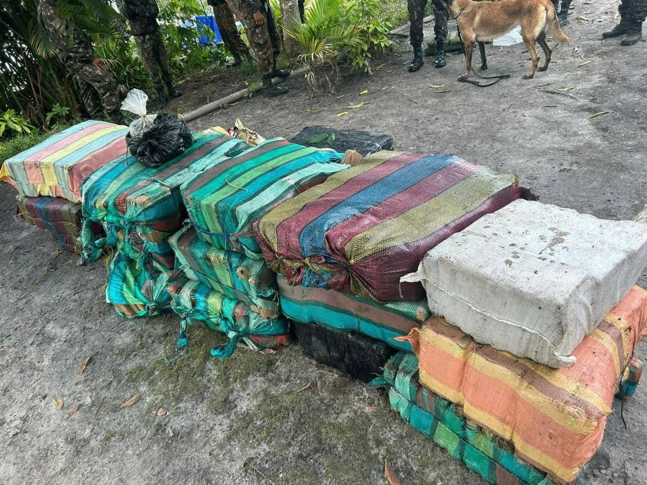 Grande apreensão de drogas é feita durante operação militar no interior do AM