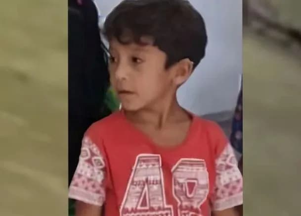 Criança de 7 anos sofre ataque de jacaré e desaparece em Anamã