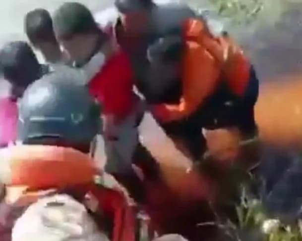 Vídeo: Passageiros sobrevivem 36 horas cercados por jacarés após queda de avião