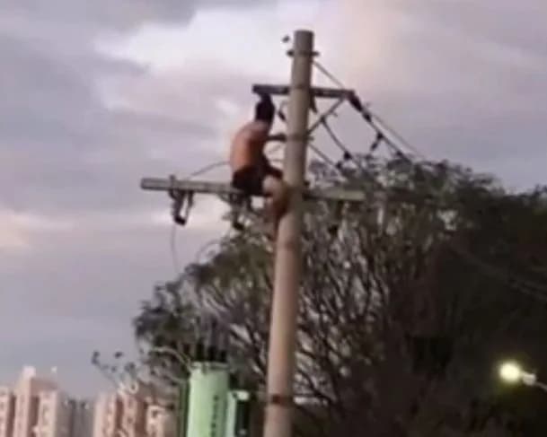 IMAGENS FORTES: engenheiro tem ‘surto’ sobe em poste e morre eletrocutado