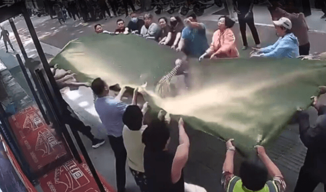 Idosa de 102 anos cai do 3º andar e é salva por moradores com tapete de grama