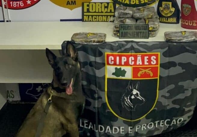Base Arpão 3: Cadela policial encontra 13 quilos de cocaína escondidos em embarcação