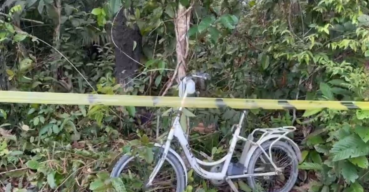 Idoso morre carbonizado após descarga elétrica durante serviço na zona rural de Manaus