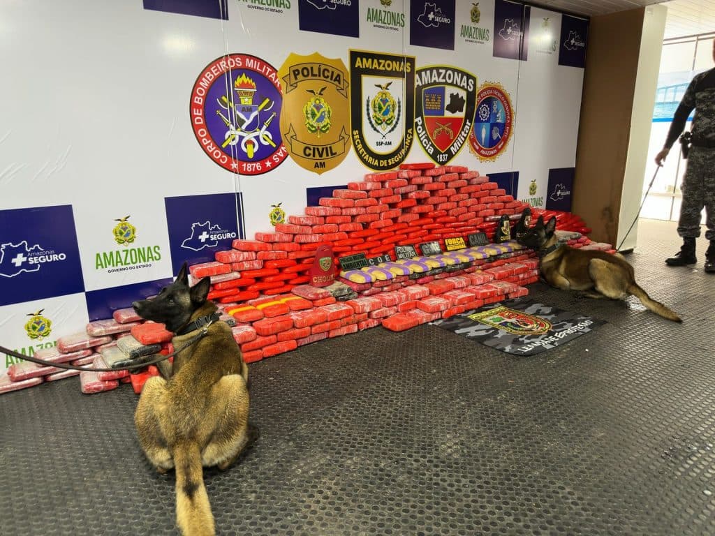 Amazonas registra aumento de 51,2% na apreensão de drogas em 2024, diz Mapa da Segurança Pública