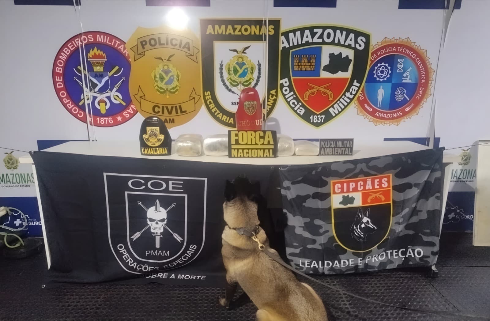 Base Arpão 3: PMAM apreende entorpecentes escondidos em saca de farinha