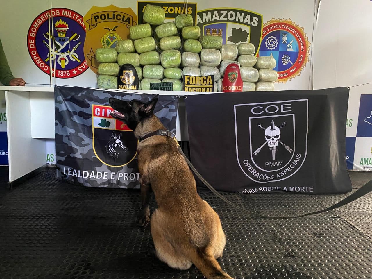 PMAM apreende 98 quilos de entorpecentes e prende três homens por tráfico de drogas