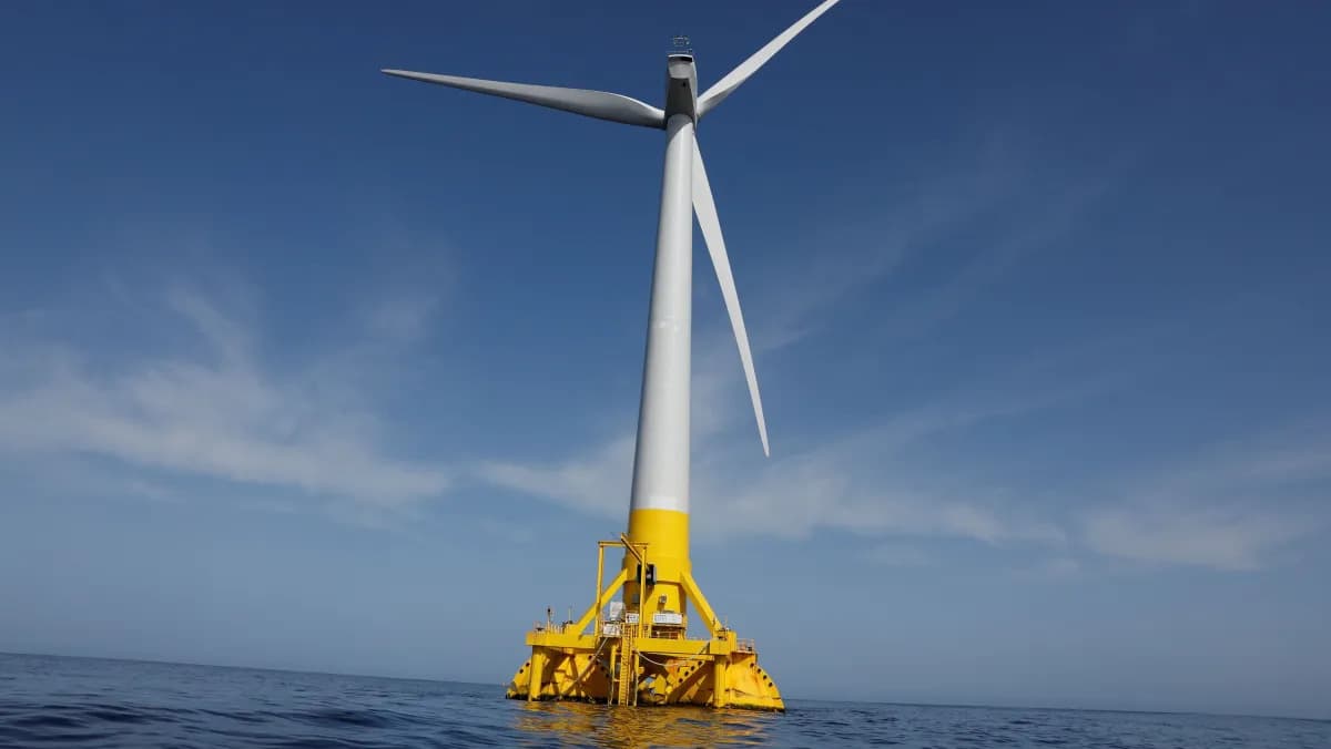 Lei das eólicas: jabutis presentes no texto vão custar R$ 197 bi aos consumidores em 25 anos