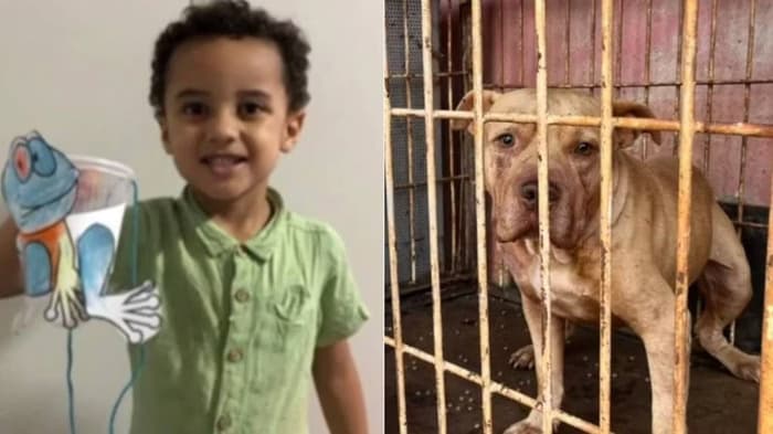 Menino de 3 anos morre em ataque de pitbull, em Goiás