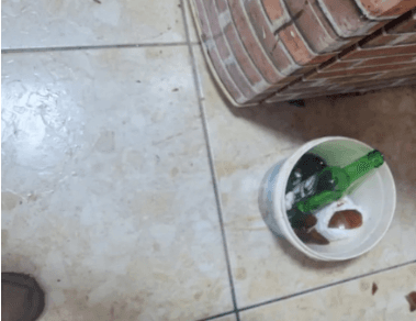 VÍDEO: Mulher é atacada pelo ex-marido com golpes de gargalo de garrafa em Manaus