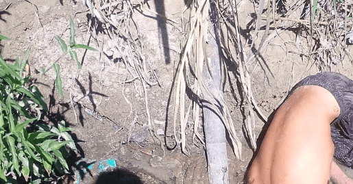 Corpo é encontrado boiando em igarapé em Manaus; vídeo