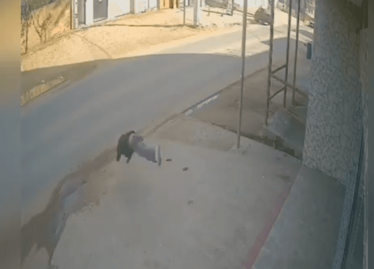 No ES, homem despenca de apartamento e sofre fraturas