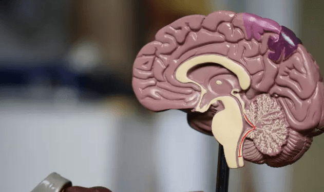 Mulher sofre aneurisma durante momento íntimo e caso chama atenção da medicina forense