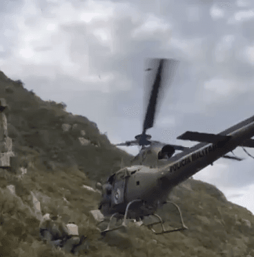 Capivara presa há dias em penhasco de trilha em Florianópolis é resgatada de helicóptero