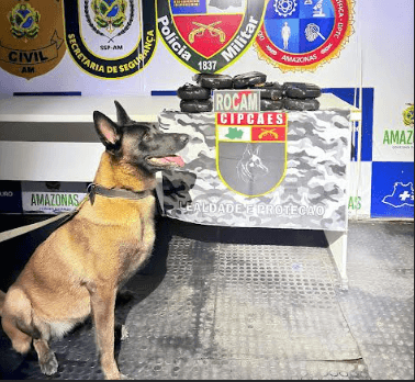 Passageira é presa com 12 kg de drogas em barco em Coari