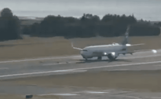 Avião atinge veados durante pouso no Alasca; trem de pouso é danificado