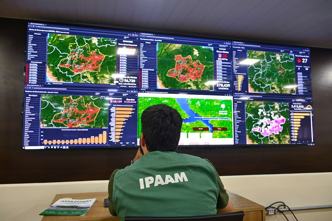 Ipaam registra queda de 52,46% no desmatamento e 64,72% nos focos de calor no mês de junho