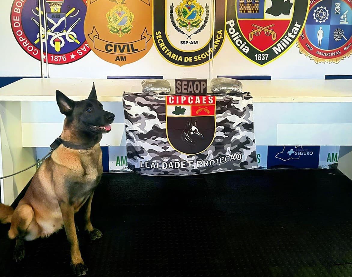 Mulher é presa com mais de R$ 100 mil em droga dentro de mala em Coari