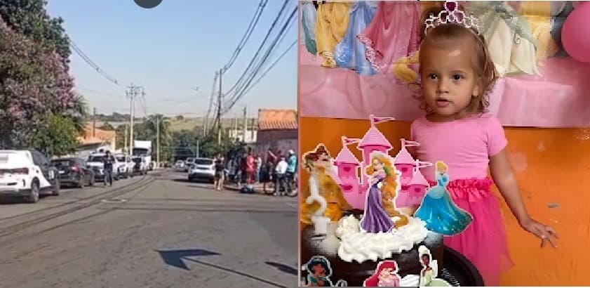 Menina de 2 anos morre após ataque de pitbull da família em Campinas