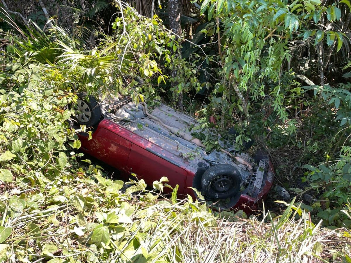 VÍDEO: Carro capota e cai em área de mata em Manaus