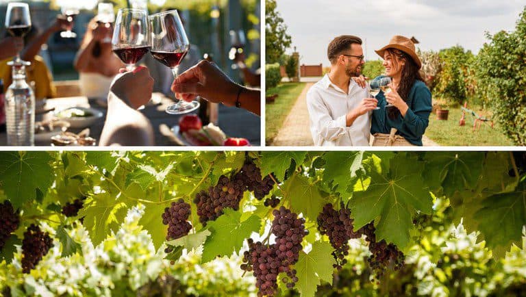 Descubra destinos turísticos surpreendentes para curtir as férias de julho no Brasil