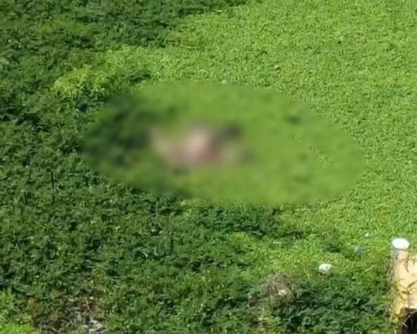 Corpo em decomposição é encontrado em Igarapé no Centro de Manaus
