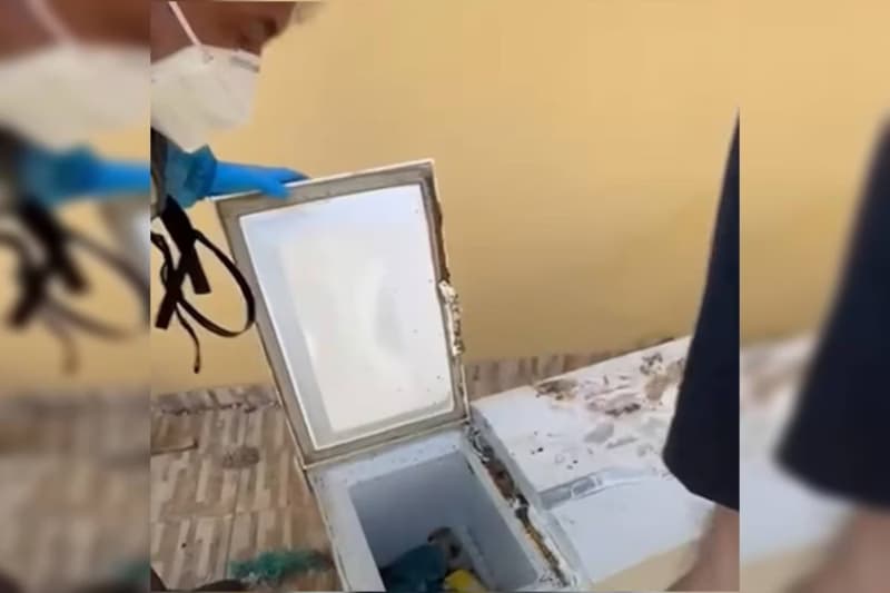 Corpo de mulher em freezer estava coberto por cortinas e cal