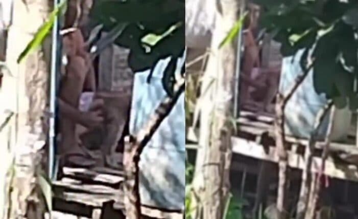 VÍDEO CHOCANTE: homem é flagrado abusando de cadela em Tefé, no Amazonas