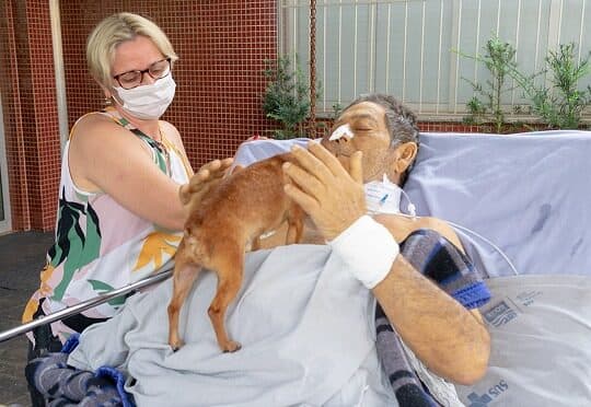 Câmara aprova proposta que permite visita de animais a pacientes internados em hospitais