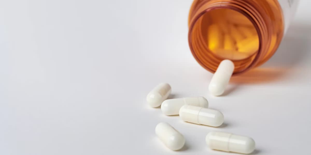 Aldenor Lima quer em PL a aquisição de Itraconazol humano para o tratamento de esporotricose animal