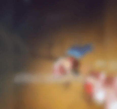 Adolescente reage a agressão contra a mãe e mata o padrasto com machado; corpo foi esquartejado