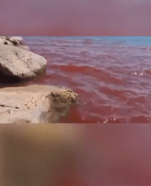 Mar da Galileia fica vermelho e chama atenção de moradores em Israel