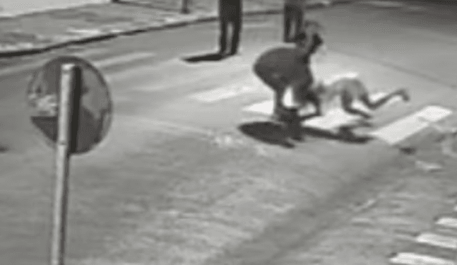 Grávida de 4 meses é agredida no meio da rua em General Salgado, SP