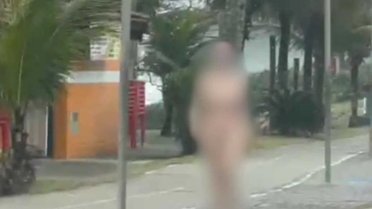VÍDEO: Mulher nua é presa em praia de SP, e confessa ter matado o pai a facadas