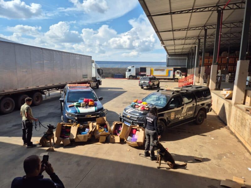 Polícia apreende 171 kg de skunk em ação conjunta na região Norte