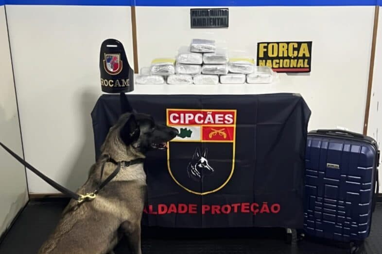 Traficante é preso com mais de 12 kg de cocaína escondidos em malas, em Coari