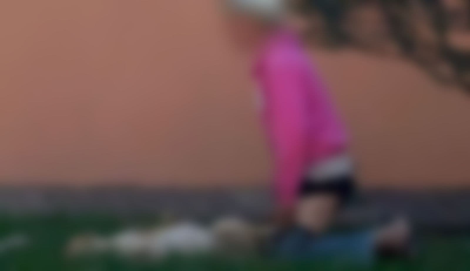 Idoso de 81 anos é preso por abuso sexual contra cadela perto de escola em MS