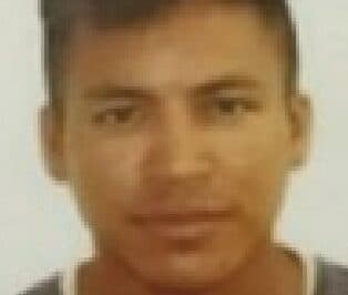 Suspeito de esfaquear cadela grávida é procurado pela polícia no Amazonas